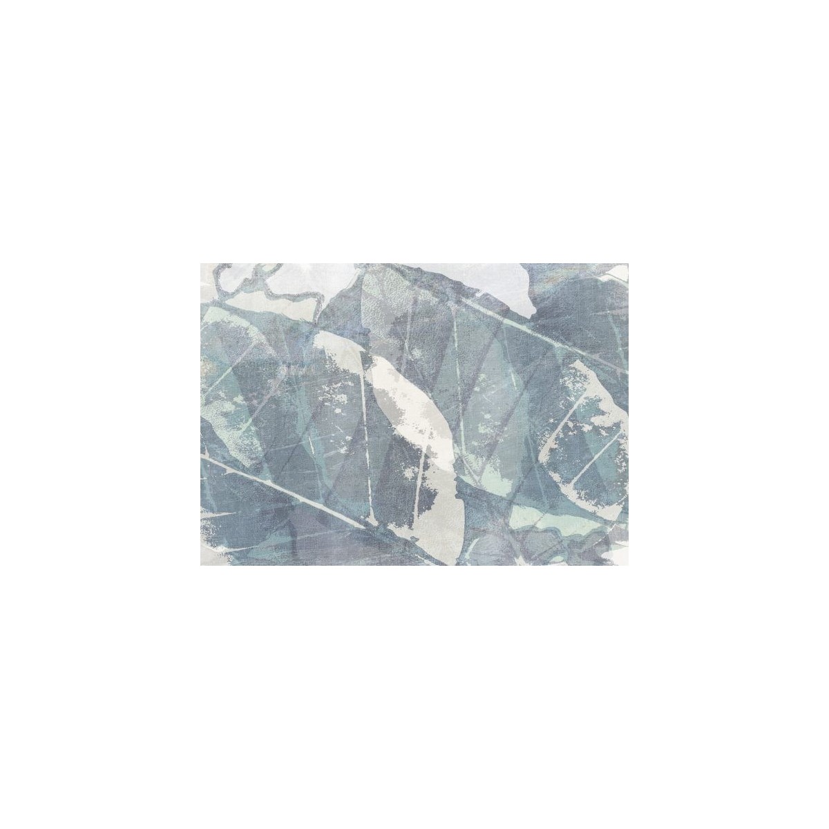 Salix