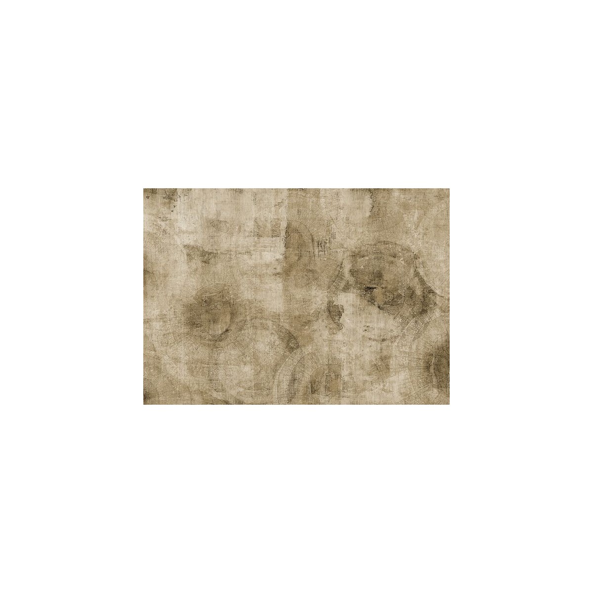 Acropora Acropora