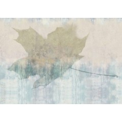 Folium