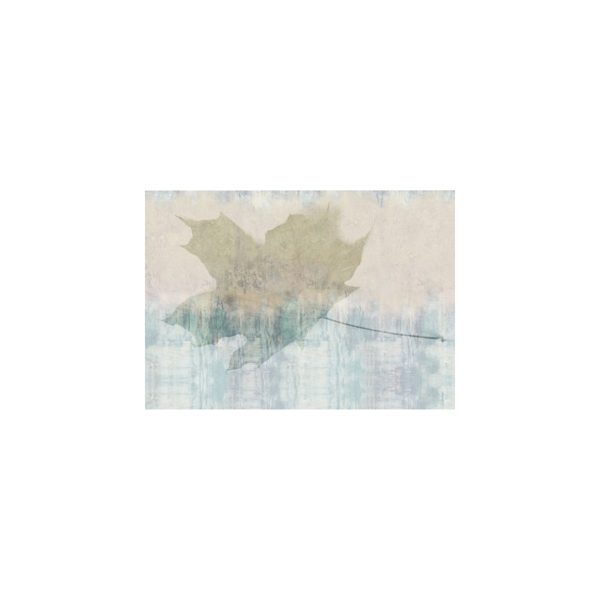 Folium Folium