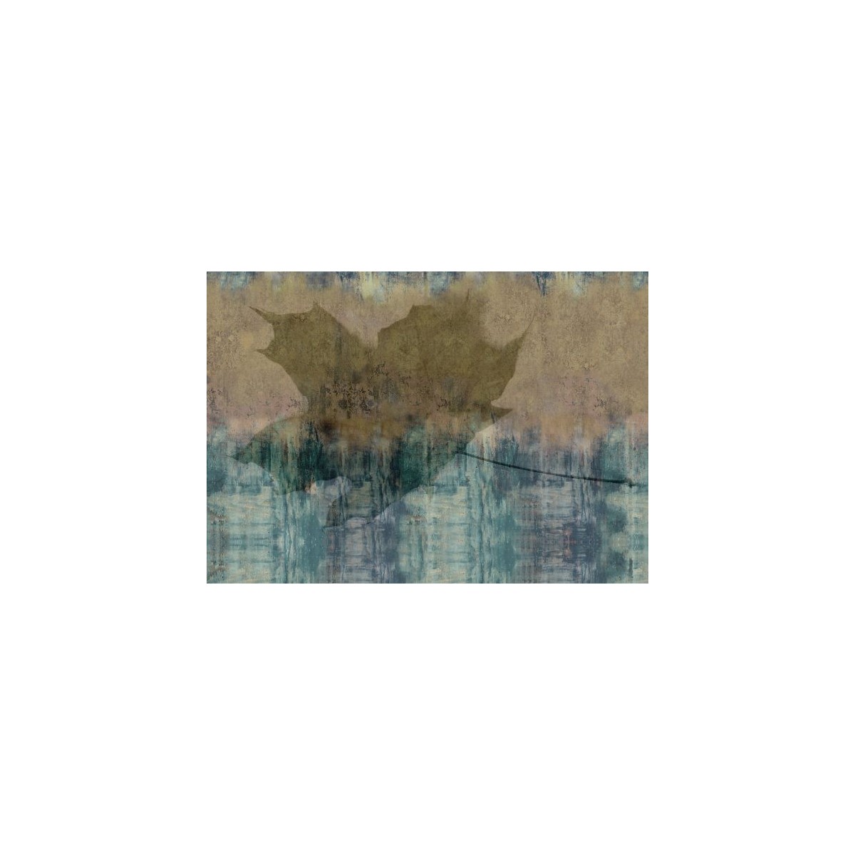 Folium Folium