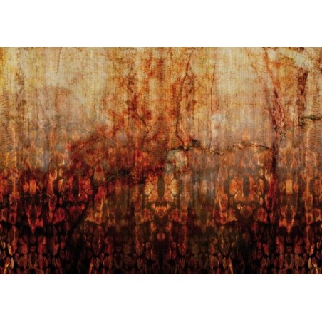 Rust