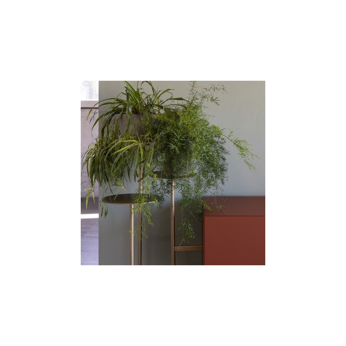 Contenitore/ Credenza IKEBANA Mogg Contenitore/ Credenza IKEBANA Mogg