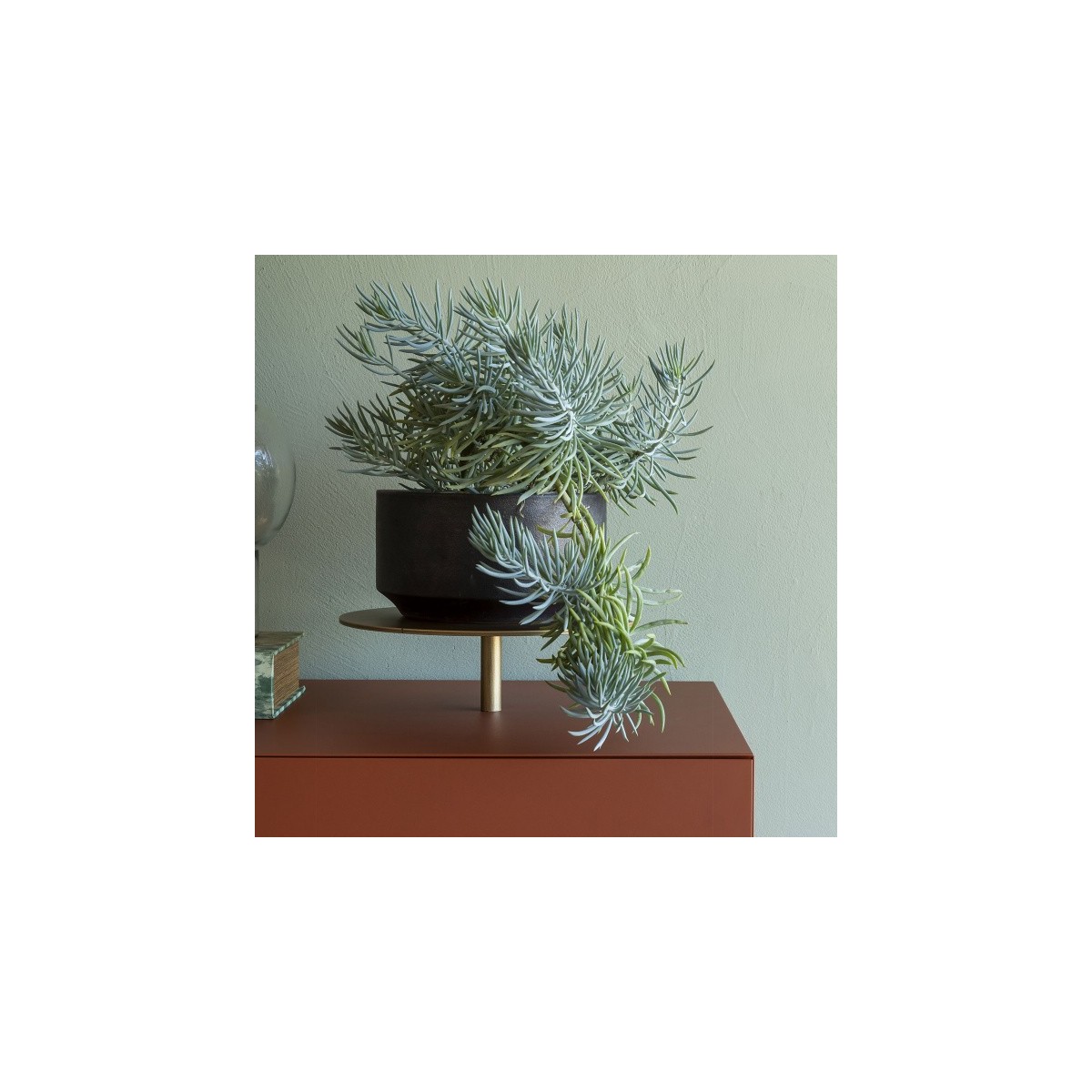 Contenitore/ Credenza IKEBANA Mogg Contenitore/ Credenza IKEBANA Mogg