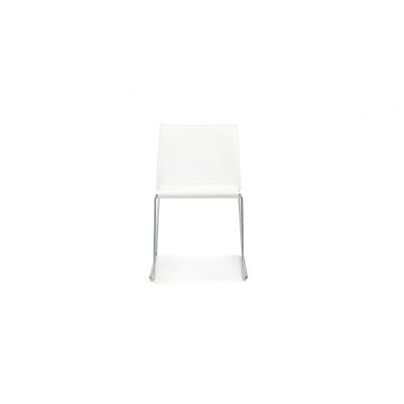 Chairs  Bizzy  Pellizzoni