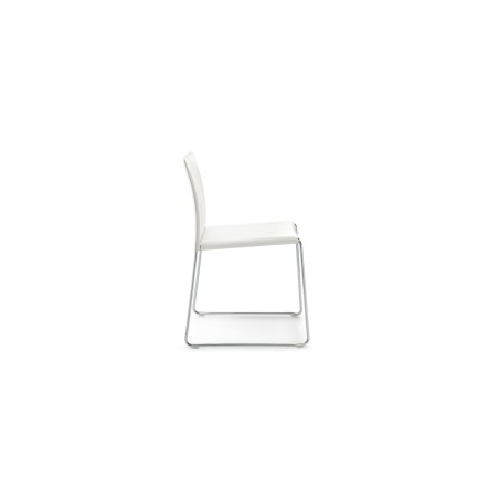 Chairs  Bizzy  Pellizzoni