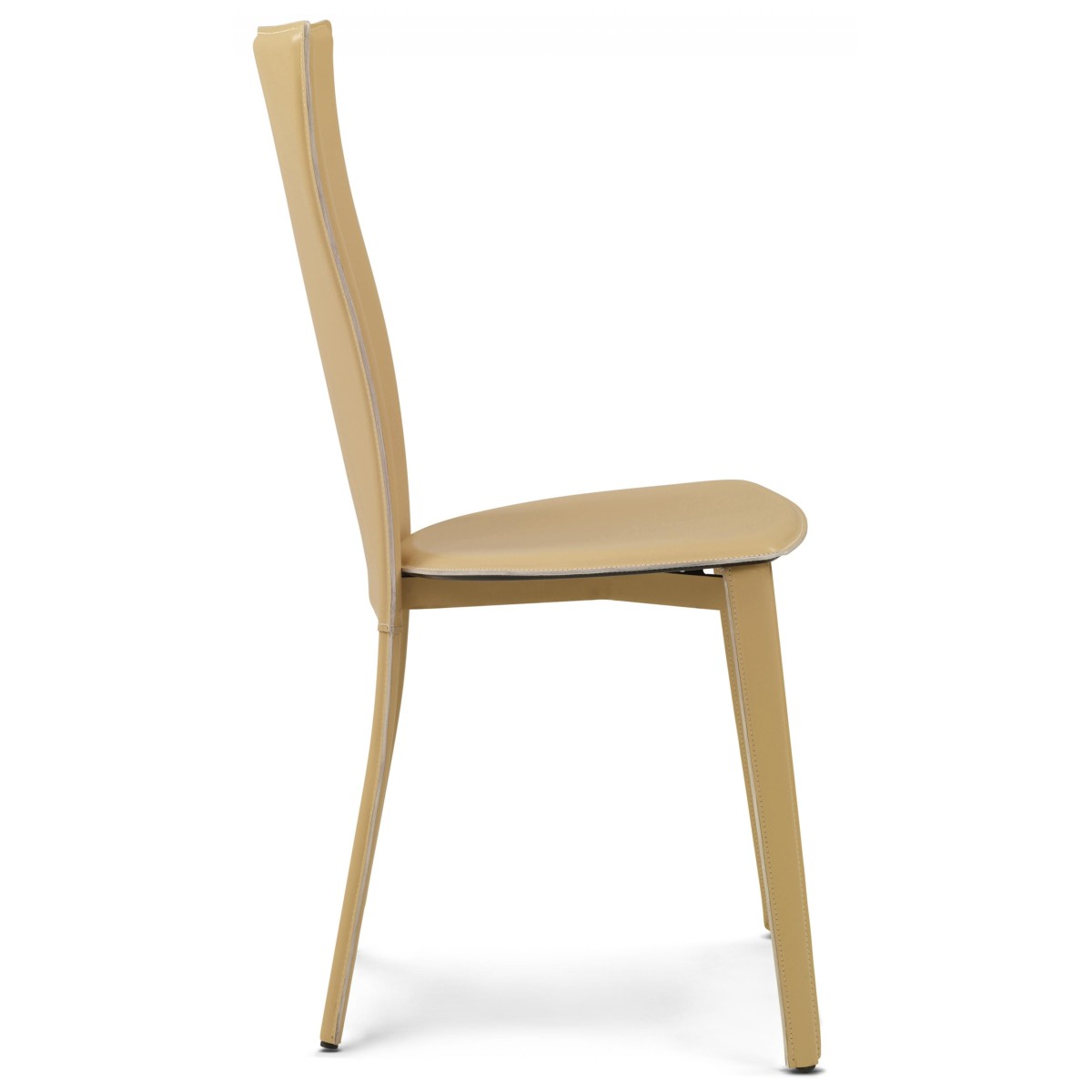 Chairs  Carlotta Pellizzoni