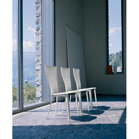 Chairs  Carlotta Pellizzoni