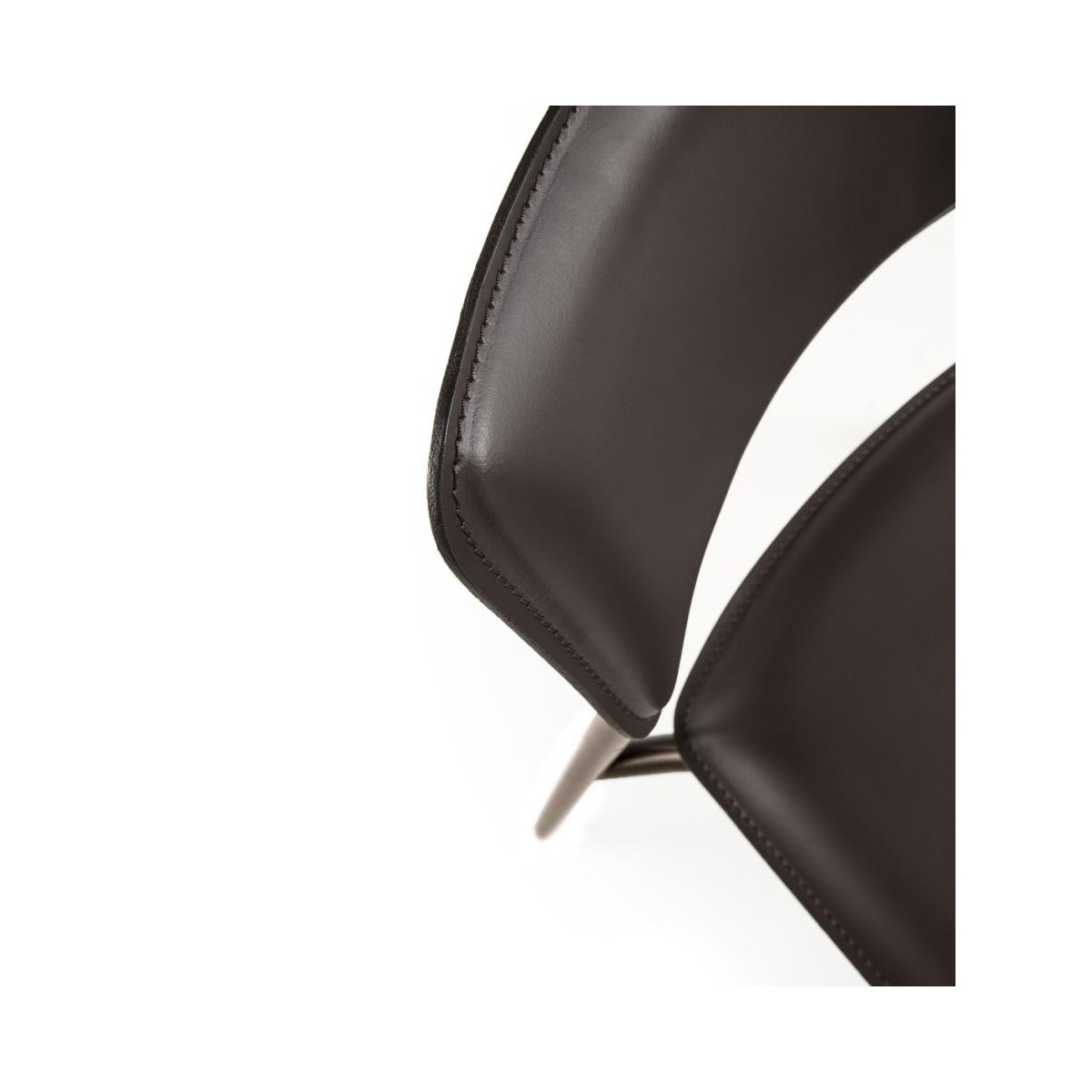 Chair Isotta Pellizzoni