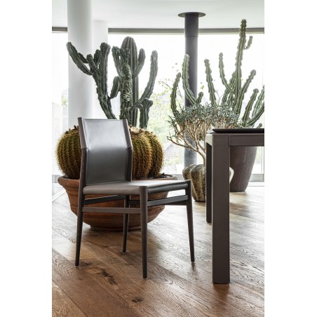 Sedia  Ledermann Pellizzoni