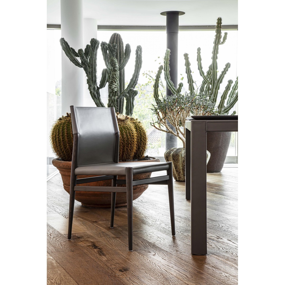 Sedia  Ledermann Pellizzoni