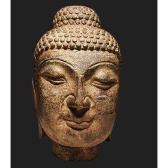 Testa di Budda