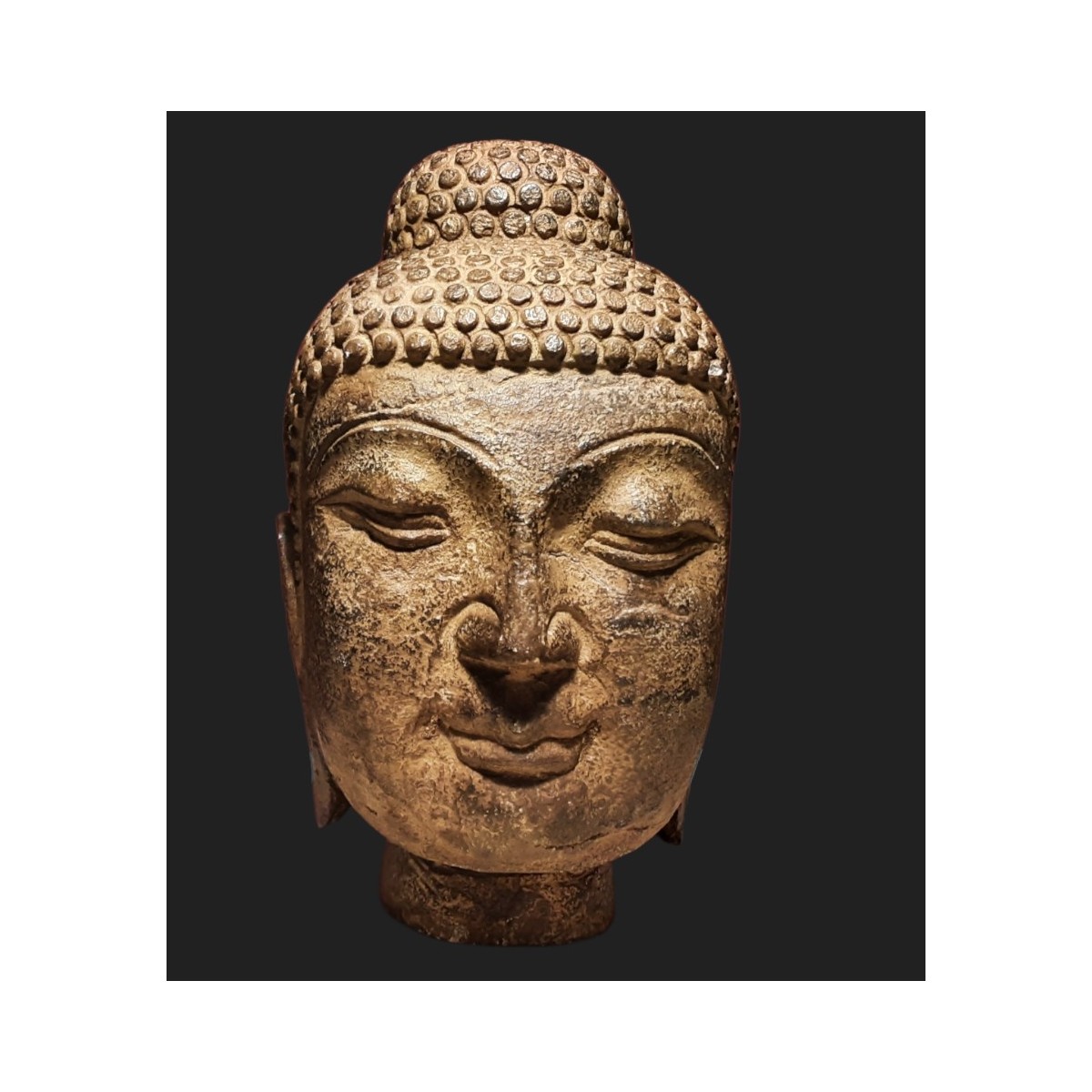 Testa di Budda Testa di Budda