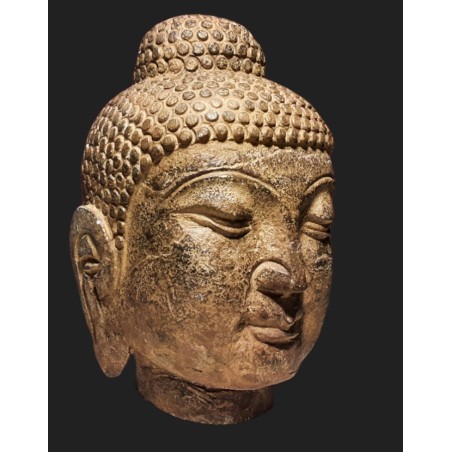 Testa di Budda