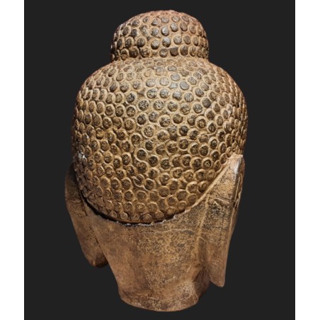 Testa di Budda
