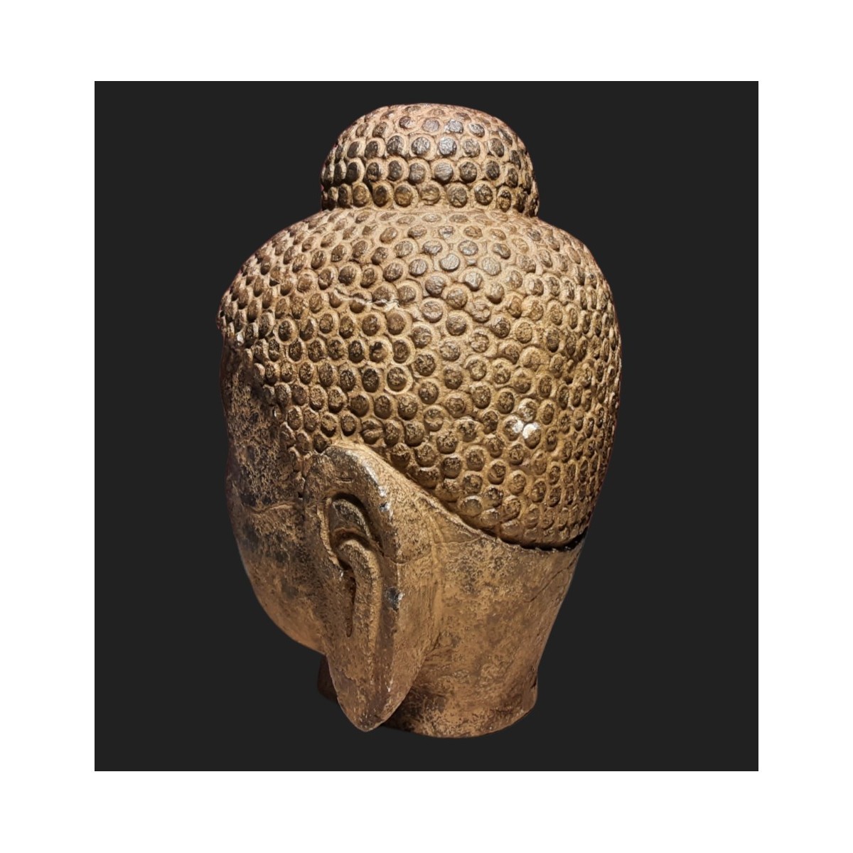 Testa di Budda Testa di Budda