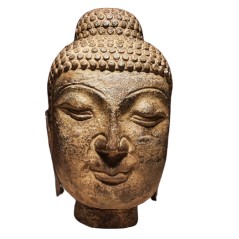 Testa di Budda