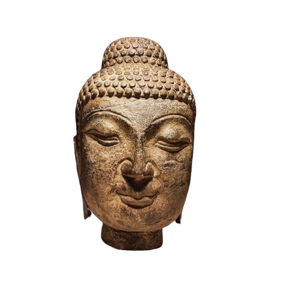 Testa di Budda Testa di Budda