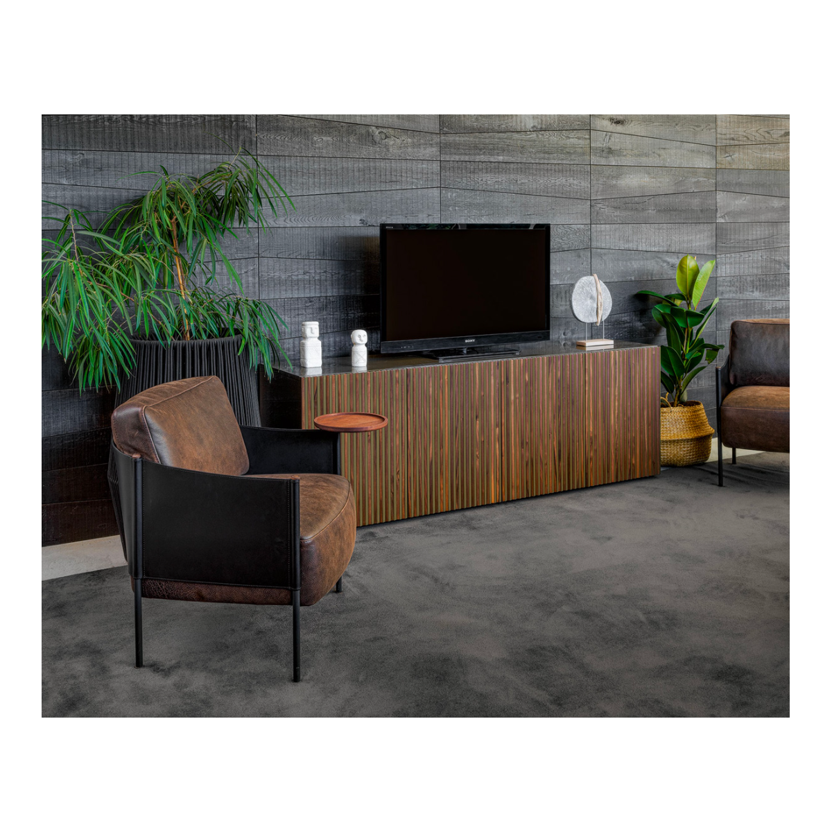 Madia Leon Decor Horm Madia Leon Decor Horm