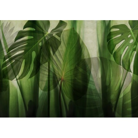 Equatorial Jungle