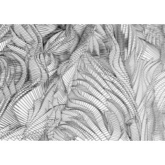 Zebra - Holger Lippmann