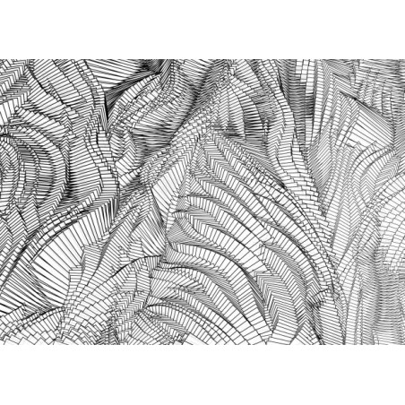 Zebra - Holger Lippmann
