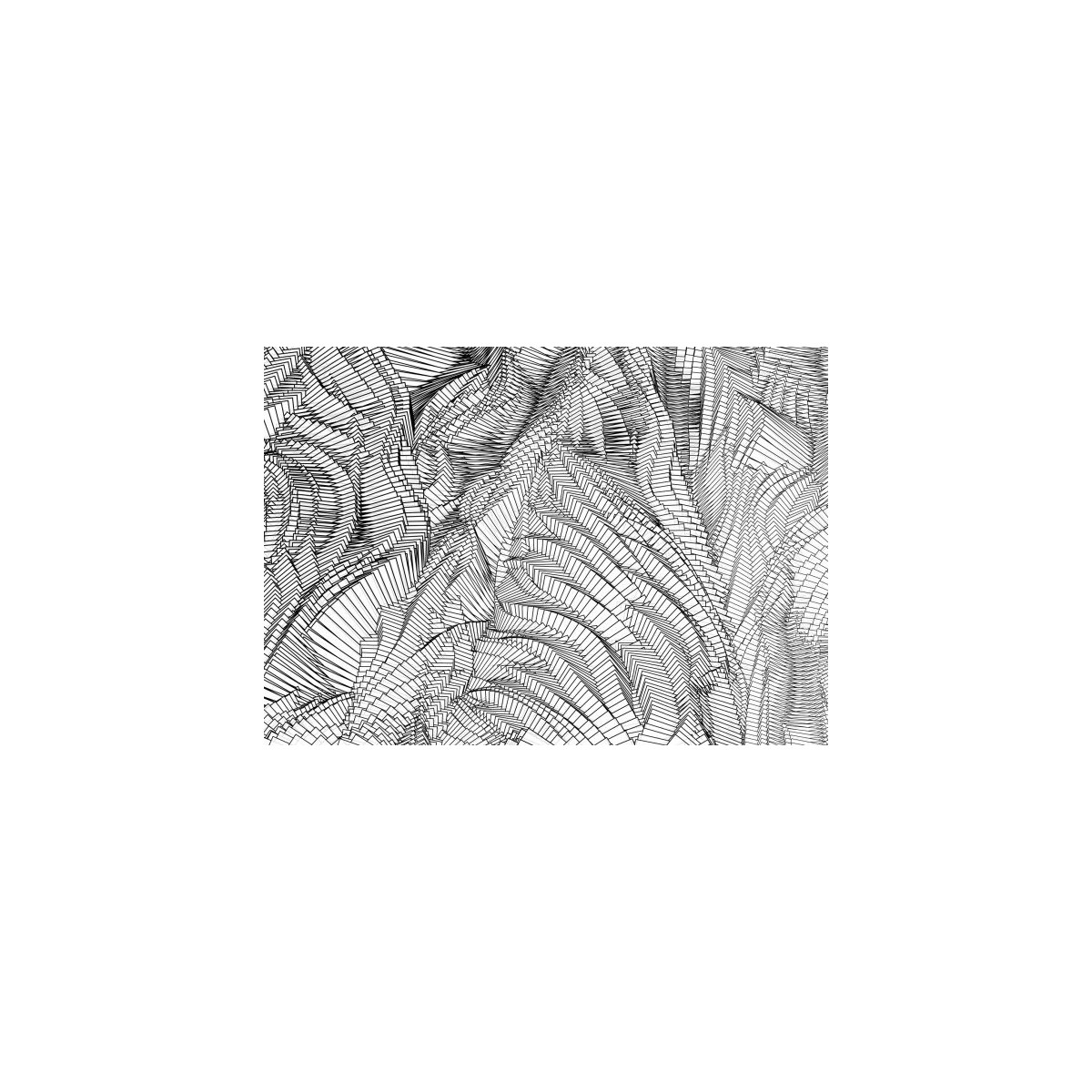 Zebra - Holger Lippmann Zebra - Holger Lippmann