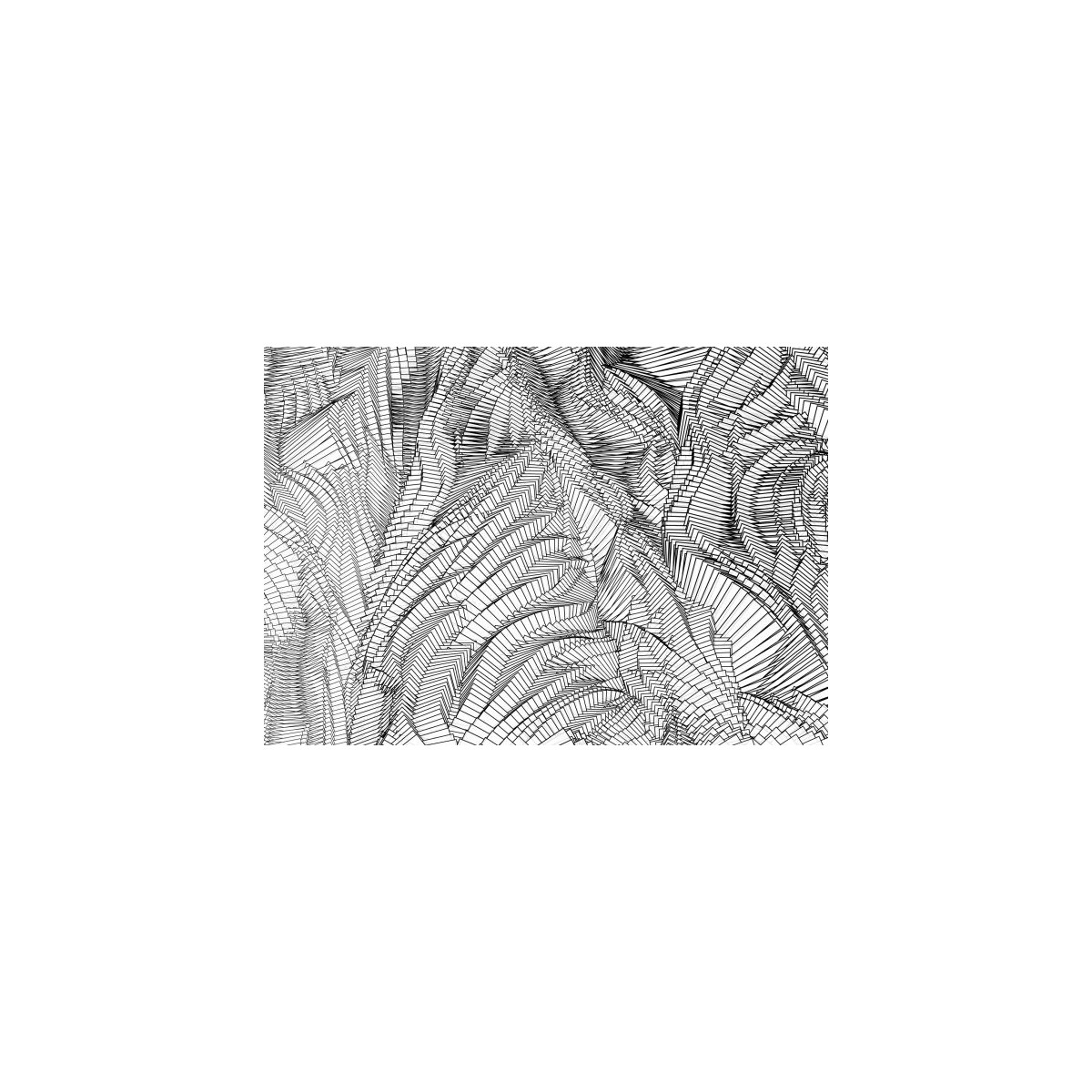 Zebra - Holger Lippmann Zebra - Holger Lippmann