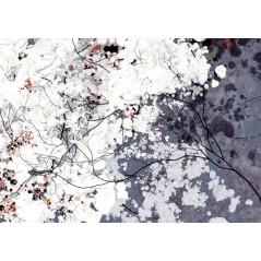 Clouds- Holger Lippmann