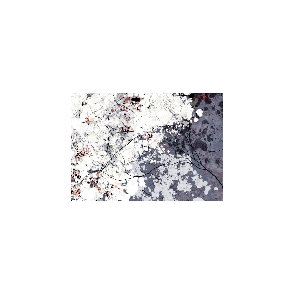 Clouds- Holger Lippmann