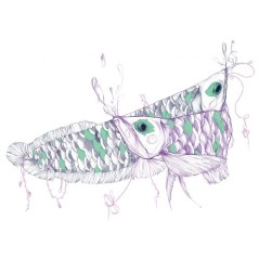 Agressiveness, Expressiveness - Celina de Guzman