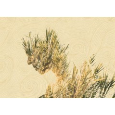 Melancholy Cane - Gianluca Scolaro