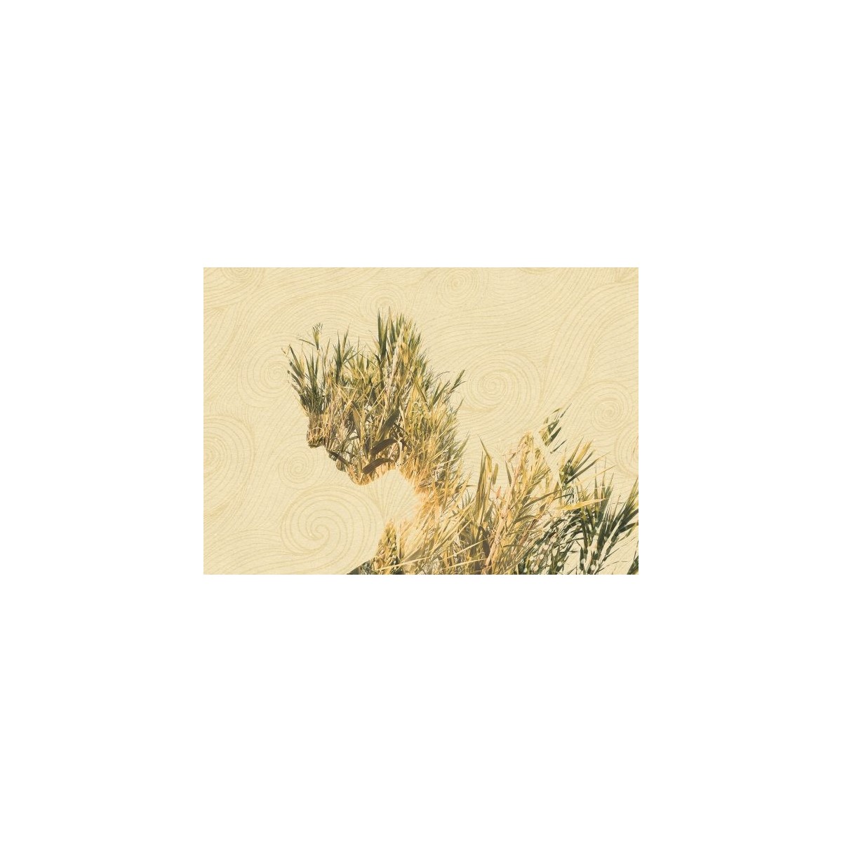 Melancholy Cane - Gianluca Scolaro Melancholy Cane - Gianluca Scolaro