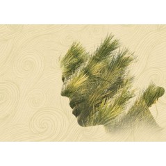 Reflexive Pine - Gianluca Scolaro