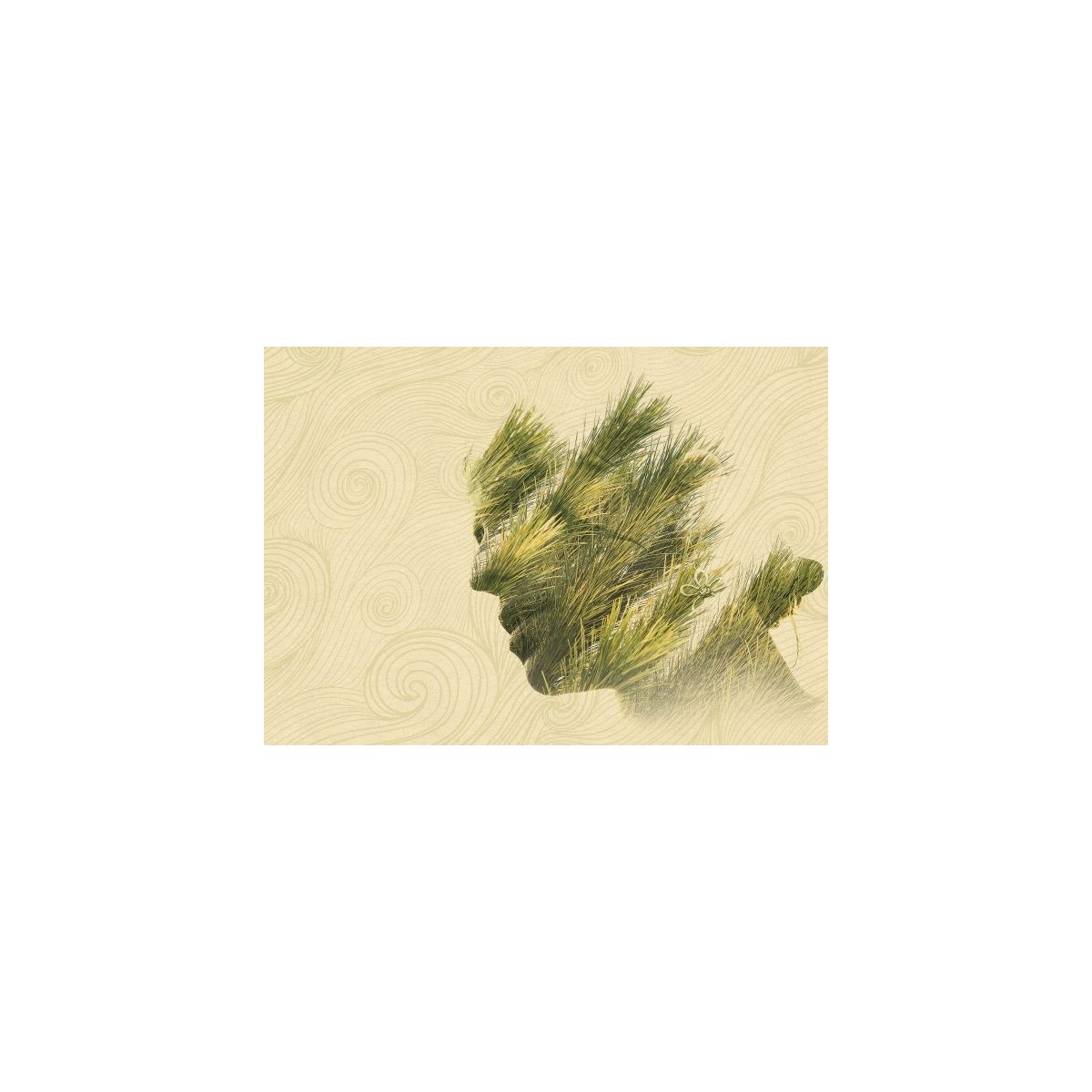 Reflexive Pine - Gianluca Scolaro