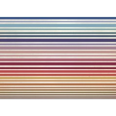 Strips - PG Architecture