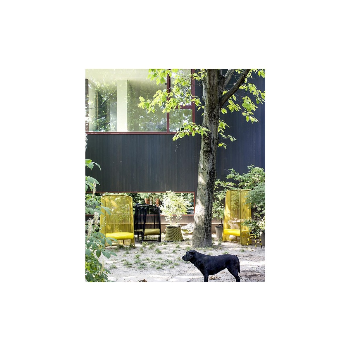 Poltrona Husk Moroso Poltrona Husk Moroso