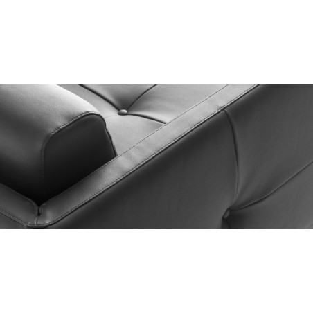 Poltrona Modernista Moroso