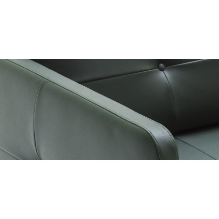 Poltrona Modernista Moroso