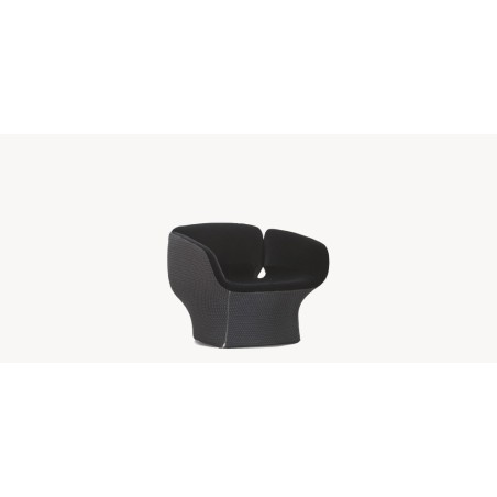 Poltrona Bloomy Moroso