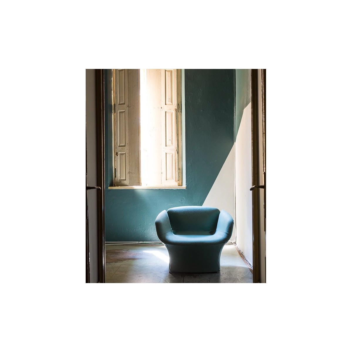 Poltrona Bloomy Moroso Poltrona Bloomy Moroso