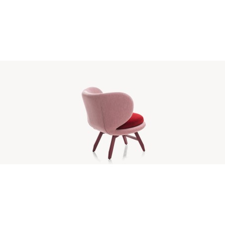 Small Armchair Ariel Moroso