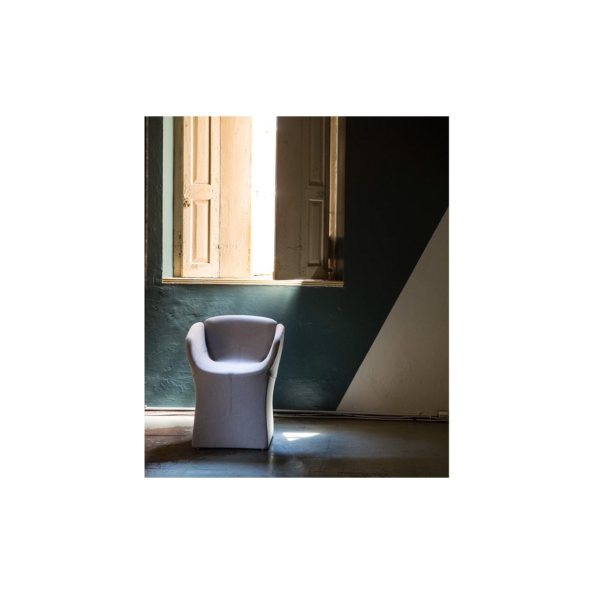 Poltroncina Bloomy Moroso Poltroncina Bloomy Moroso