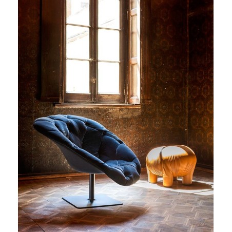 Stool Anomaly Moroso