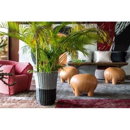 Stool Anomaly Moroso