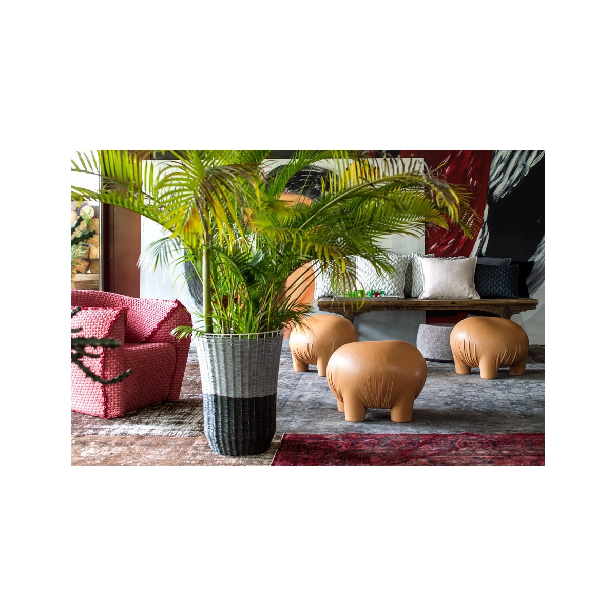 Stool Anomaly Moroso Stool Anomaly Moroso