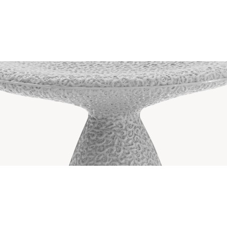 Stool Shitake Moroso