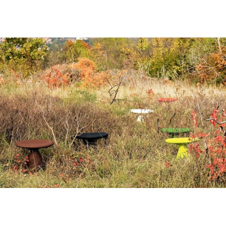 Stool Shitake Moroso
