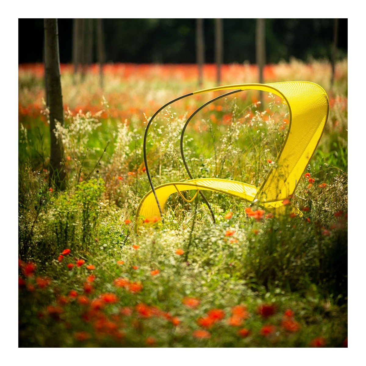 Daybed Modou Moroso Daybed Modou Moroso