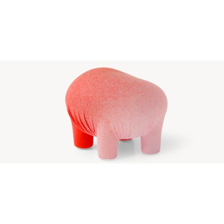 Stool Anomaly Moroso